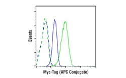 Cell Signaling Technology Myc-Tag 9B11 Mouse mAb APC