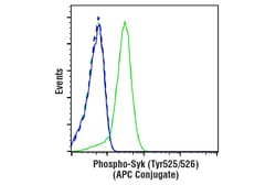 Cell Signaling Technology&nbsp;Phospho-Syk Tyr525/526 C87C