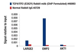 Cell Signaling Technology&nbsp;TCF4/ITF2 E3X2Y Rabbit mAb