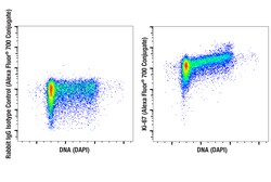 Cell Signaling Technology&nbsp;Ki-67 D3B5 Rabbit mAb Alexa