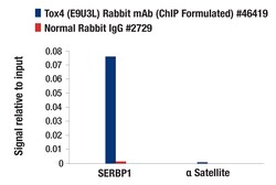 Cell Signaling Technology Tox4 E9U3L Rabbit mAb ChIP