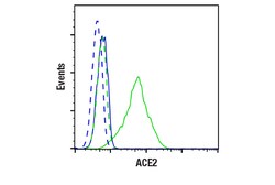 Cell Signaling Technology&nbsp;ACE2 E1E1I Mouse mAb 100 ul