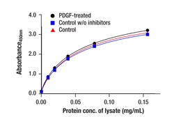 Cell Signaling Technology&nbsp;Total GSK-3-beta Matched Antib