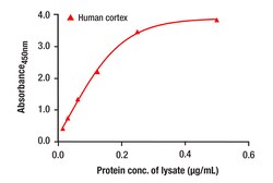 Cell Signaling Technology&nbsp;GFAP Matched Antibody Pair 1 K