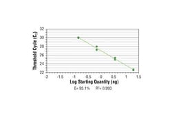Cell Signaling Technology&nbsp;SimpleChIPR Human MyoD1 Exon