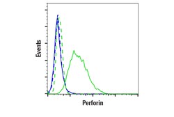 Cell Signaling Technology Perforin E9F7N Rabbit mAb 10