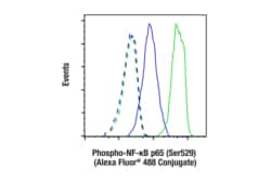 Cell Signaling Technology Phospho-NF-kappa-B p65 Ser529, Quantity: Each