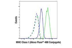 Cell Signaling Technology&nbsp;MHC Class I EMR8-5 Mouse mAb