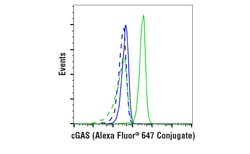 Cell Signaling Technology&nbsp;cGAS E5V3W Rabbit mAb Alexa