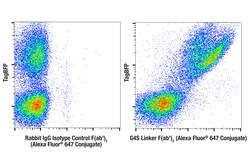 Cell Signaling Technology&nbsp;G4S Linker E7O2V Fab 2  F
