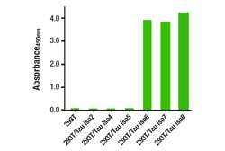 Cell Signaling Technology&nbsp;Total Tau 4R Matched Antibody