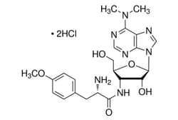 Cell Signaling Technology Puromycin Dihydrochloride 50 m