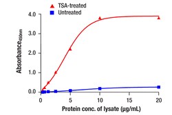Cell Signaling Technology&nbsp;Acetyl-Histone H3 Lys27 Matc