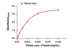 Cell Signaling Technology&nbsp;Total alpha-Synuclein Matched