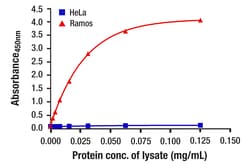 Cell Signaling Technology&nbsp;Total Btk Matched Antibody Pai