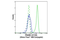 Cell Signaling Technology&nbsp;PRAME E7I1B Rabbit mAb Alex