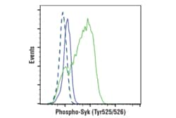 Cell Signaling Technology PhosphoPlusR Syk Tyr525/526