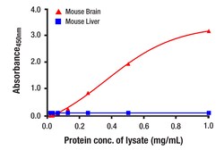 Cell Signaling Technology&nbsp;Total Enolase-2 Matched Antibo