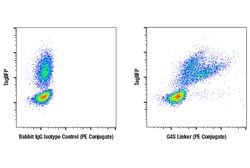 Cell Signaling Technology&nbsp;G4S Linker E7O2V Rabbit mAb