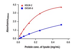 Cell Signaling Technology&nbsp;BRD9 Matched Antibody Pair 1 K