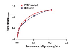 Cell Signaling Technology&nbsp;Total S6 Ribosomal Protein Mat