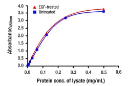 Cell Signaling Technology&nbsp;Total p44/42 MAPK Erk1/2 Mat