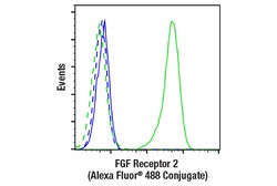 Cell Signaling Technology&nbsp;FGF Receptor 2 D4L2V Rabbit