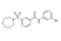 Cell Signaling Technology AK-7 5 mg