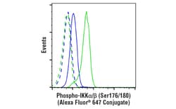 Cell Signaling Technology&nbsp;Phospho-IKK-alpha/beta Ser176