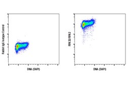 Cell Signaling Technology&nbsp;RPA32/RPA2 E8X5P XPR Rabbi