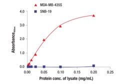Cell Signaling Technology&nbsp;Total cGAS Matched Antibody Pa