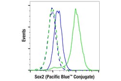 Cell Signaling Technology Sox2 D9B8N Rabbit mAb Pacif