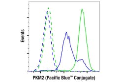 Cell Signaling Technology&nbsp;PKM2 D78A4 XPR Rabbit mAb