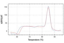 Cell Signaling Technology&nbsp;SimpleChIPR Human PAI-1 Prom