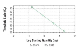 Cell Signaling Technology&nbsp;SimpleChIPR Human KLK3 Promo