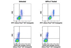 Cell Signaling Technology IFIT1 D2X9Z Rabbit mAb Alex