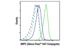 Cell Signaling Technology&nbsp;IMP2D4R2F Rabbit mAb Alexa