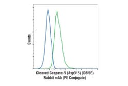 Cell Signaling Technology Cleaved Caspase-9 Asp315 D8