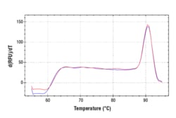 Cell Signaling Technology&nbsp;SimpleChIPR Human MRPL36 Pro