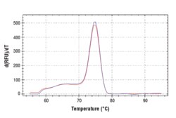 Cell Signaling Technology&nbsp;SimpleChIPR Mouse Sox2 Exon1