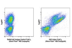 Cell Signaling Technology G4S Linker E7O2V Fab2 Fra