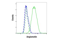 Cell Signaling Technology&nbsp;Angiomotin F7W8U Rabbit mAb