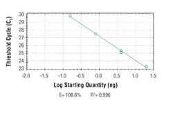 Cell Signaling Technology&nbsp;SimpleChIPR Mouse SLA2 Promo