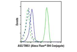 Cell Signaling Technology&nbsp;ASC/TMS1 D2W8U Rabbit mAb A