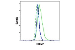 Cell Signaling Technology&nbsp;TREM2 E4F5G Mouse mAb 100 ul