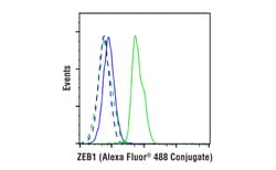 Cell Signaling Technology ZEB1 E2G6Y XPR Rabbit mAb
