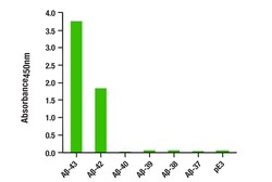 Cell Signaling Technology&nbsp;beta-Amyloid 1-43 Matched An