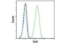 Cell Signaling Technology TIGIT Tiragolumab Biosimilar