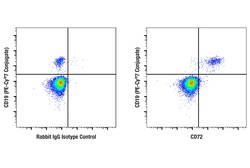 Cell Signaling Technology&nbsp;CD72 E4K4A Rabbit mAb 100 ul