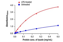 Cell Signaling Technology&nbsp;Phospho-TBK1/NAK Ser172 Matc